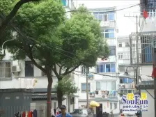 南门 · 新养蚕里新村 ·平直振华未用,双地鉄,全明户型