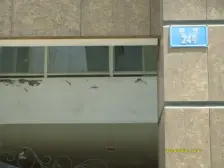 鲤鱼池鲤鱼池 精装五房 看房方便