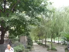 城北新区 柳林苑三房