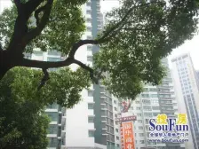 锦昌苑狮山路核芯地段双实景观层可观狮山