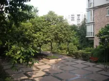 石马河 大川水岸五房280万