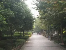 石马河 大川水岸六房