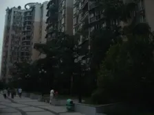 大石坝 五福苑二房101.5万