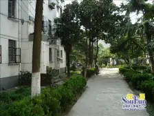 新市桥五号地铁,两房朝南的,采光无遮挡