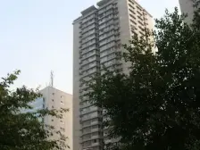 新华路 2室1厅 东南