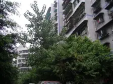 马王乡朵力名都边新农八村大两室业主诚心出售