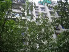 房子是正规四室二厅二卫户型方正,拎包入住