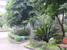 步行街 天使花园二房55万