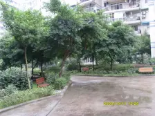 阳光花园(大渡口) 3室2厅 南