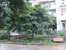 区府 阳光花园二期四房222万