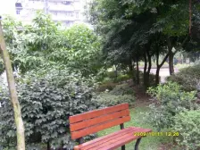 顶跃复式,带屋顶花园,带露台!出门就是轻轨公园可看湖