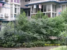 区府 阳光花园二期三房85万