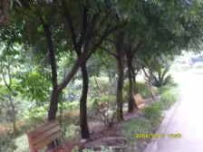 大渡口轻轨站旁+阳光花园加装电梯三房+采光好