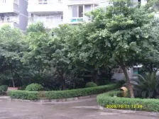 阳光花园 上叠拼别墅 诚心卖 安心卖