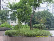 区府 阳光花园一期三房150万