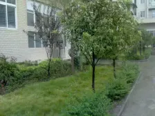 步行街旁,小高层 物业费低 出行方便