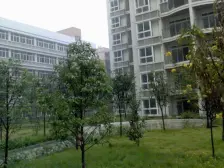 轻轨旁精装大三房 业主诚心出售 拎包入住 随时看房