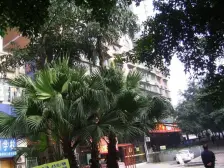 跃进村 福星楼(大渡口)四房80万