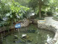 锦天华园 3室1厅 南