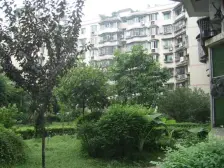 精装 2楼 两房马王乡龙泉怡苑业主诚心出售