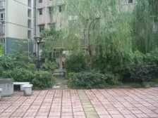 马王乡 易家小区二房48万