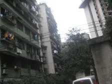 赛格尔 1室1厅 西南