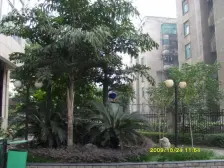 大堰一村 3室1厅 南