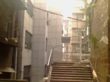 新山村 花生堡三房28.5万