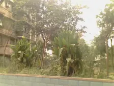 住家装修,每间房间采光视野好,近轻轨,配套齐全