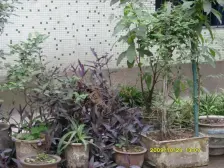 石桥铺商圈四房 近轻轨带森林和渝高