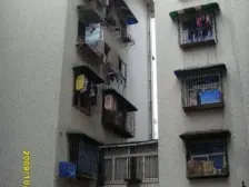 高新区 金华大厦(九龙坡)八房