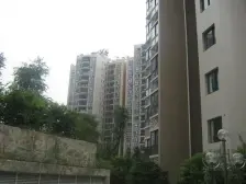 杨家坪 利丰达三房88万