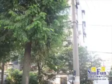 胥江·金塘新村·3室·1厅