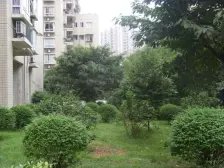 马王乡 轻港佳苑二房61万