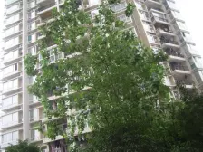 九宫庙 阳明佳城三房90万