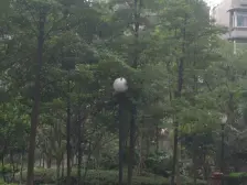 近大渡口步行街,房间宽敞,配套成熟