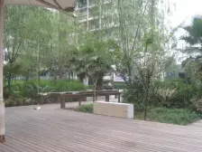 杨家坪 劳动一村二房56.6万