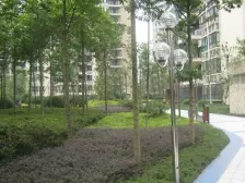 五朵金花,六年影响一生,精装大两房