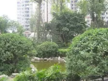 谢家湾五朵金花,万象城旁,大户型,六年影响一生,