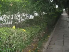 石桥铺老洋房社区 中间位置 霸气跃层