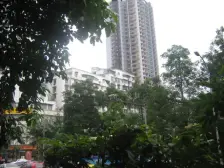 交易城旁边花园洋房业主诚心出售