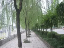 房子户型方正,小区环境优美 配套齐全 带露台