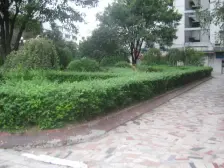 陈家坪 南方花园名人苑六房144.2万