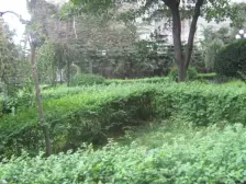 户型方正配套齐全 出行方便电梯 跃层4房 精装带露台