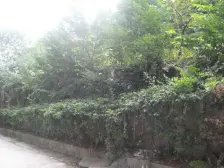 陈家坪带大露台精装花园洋房户行方正采光好