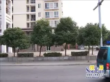 纯毛坯空关17年,钥匙房 户型好好改动,有带窗独库