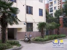 新上 苏苑迎春 轻轨3号 月亮湾 2室1厅 温馨装修 可上学