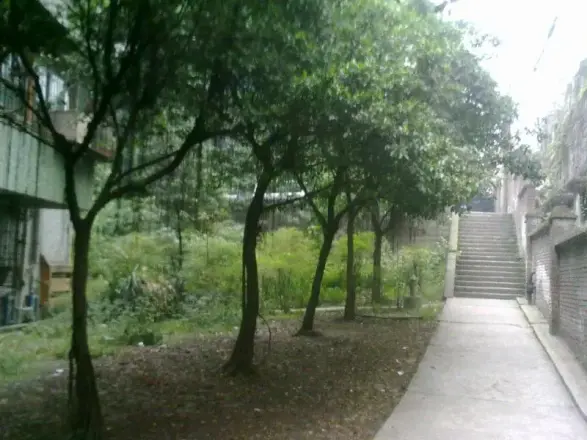 翠园村