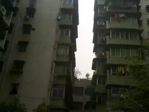 翠园村