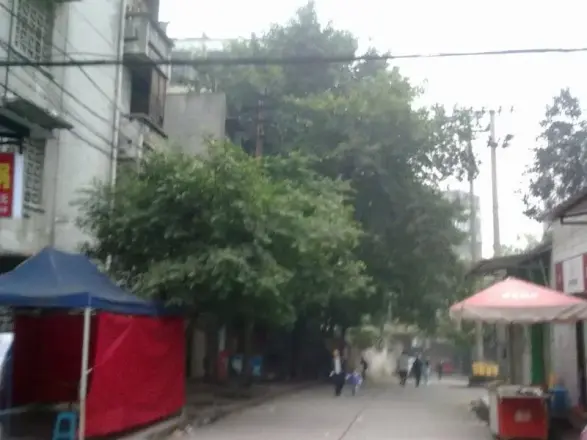 翠园村